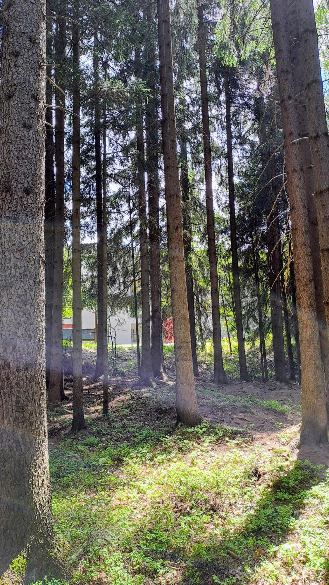 Plne Vybaveny Apartman Pod Mumlavskym Vodopadem, Zahrada S Ohnistem, Idealni Vychozi Bod Pro Turistiku, U Cesty Na Hrebeny, Kousek Do Centra, Absolutni Klid, Vybaveny I Pro Deti, Wellness A Fitko Naproti Harrachov Dış mekan fotoğraf